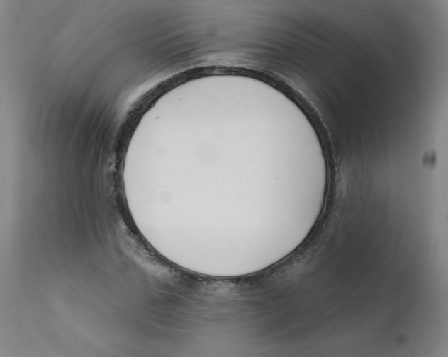 X0000112200971200909041313