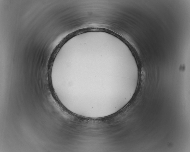X0000112200972200909041313
