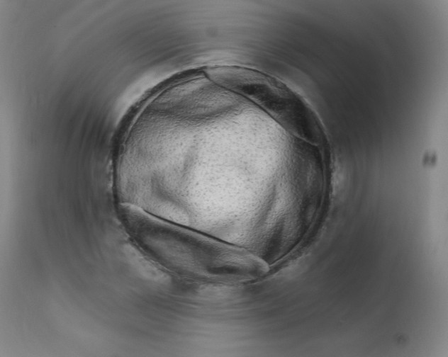 X0000112200973200909041313