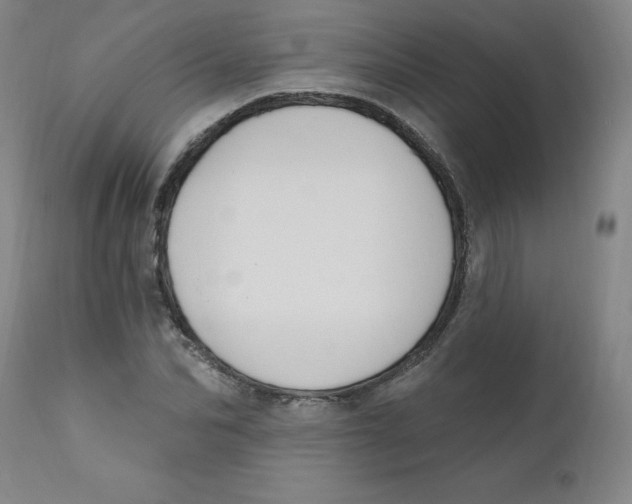 X0000112200974200909041313