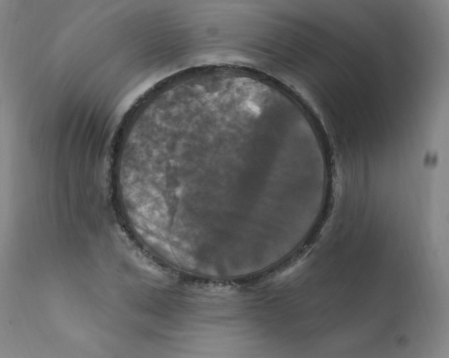 X0000112200975200909041313