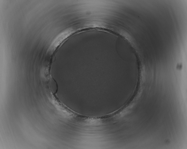 X0000112200977200909041313
