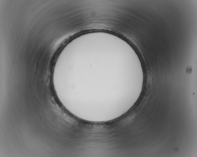 X0000112200979200909041313