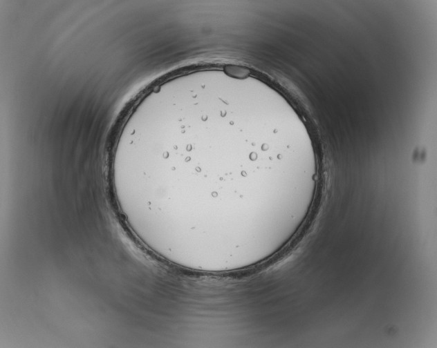 X0000112200981200909041313