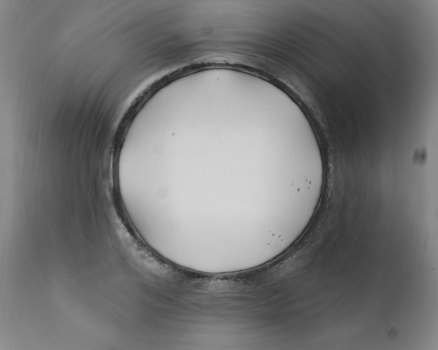 X0000112200984200909041313