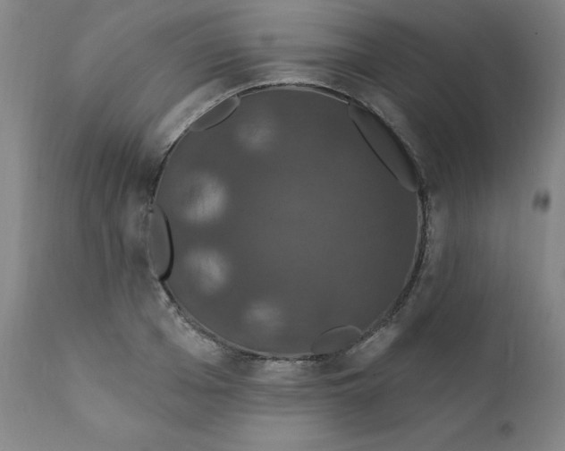 X0000112200985200909041313