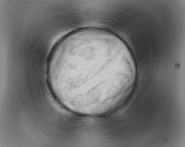 X0000112200987200909041313