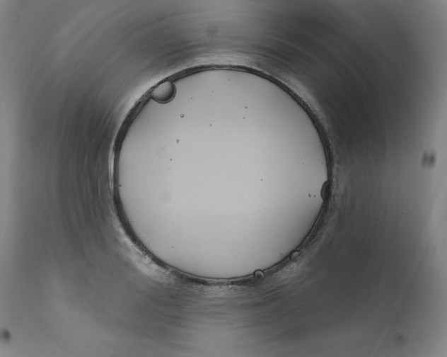 X0000112200988200909041313
