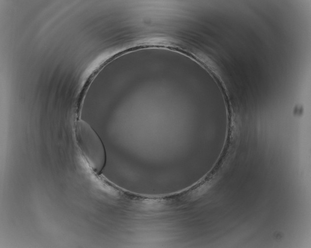 X0000112200989200909041313