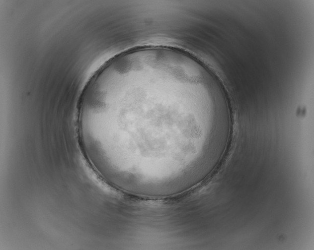 X0000112200990200909041313