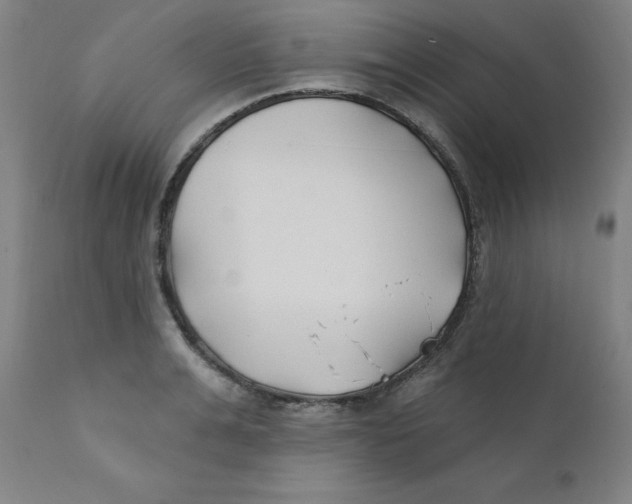X0000112200991200909041313