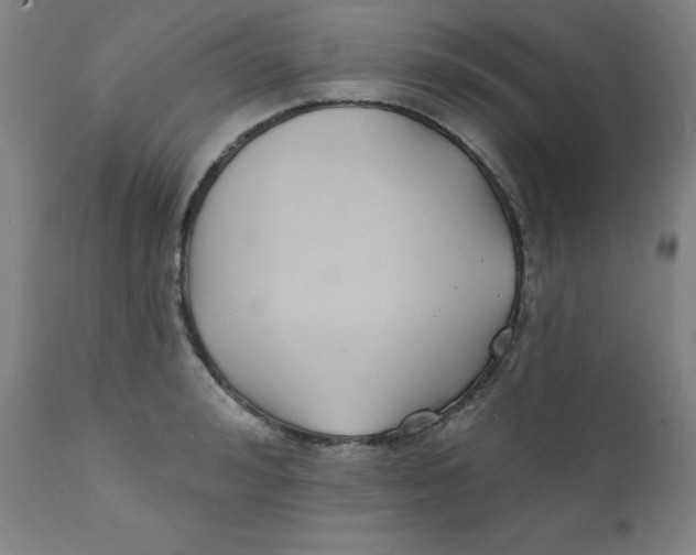 X0000112200992200909041313
