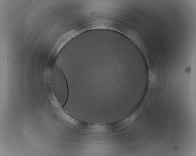 X0000112200993200909041313