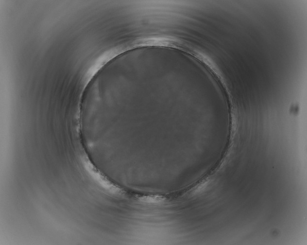 X0000112200994200909041313
