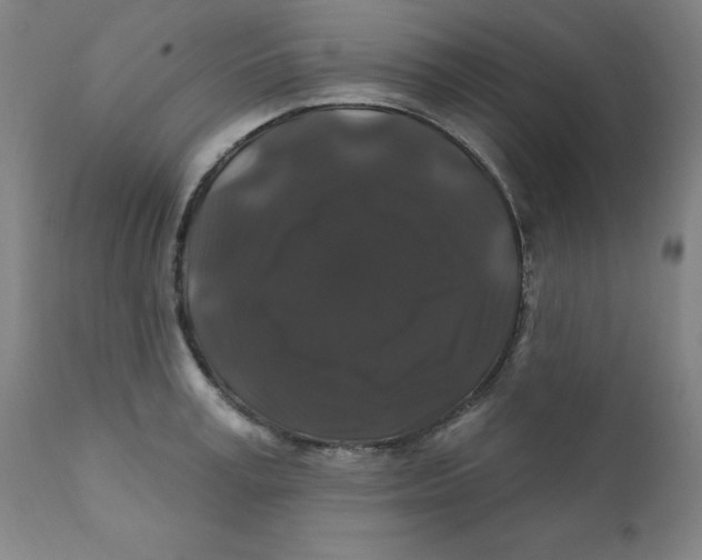 X0000112200995200909041313