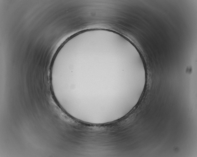 X0000112200996200909041313