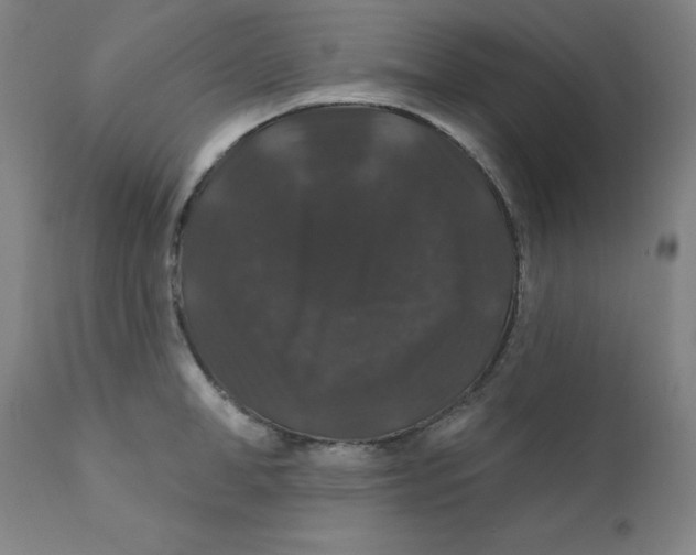 X0000112200998200909041313