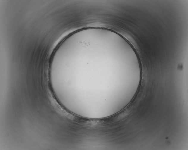 X0000112201000200909041313
