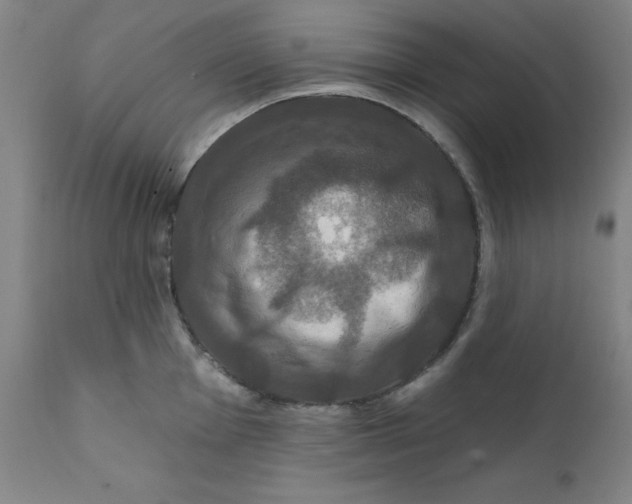 X0000112201001200909041313