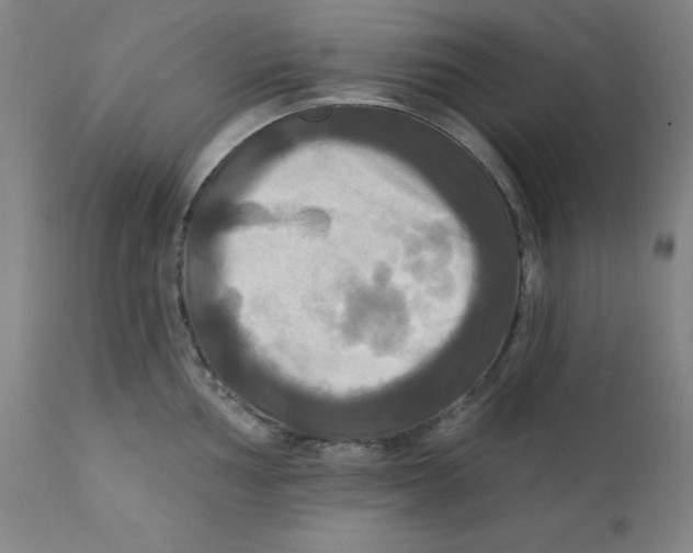 X0000112201002200909041313