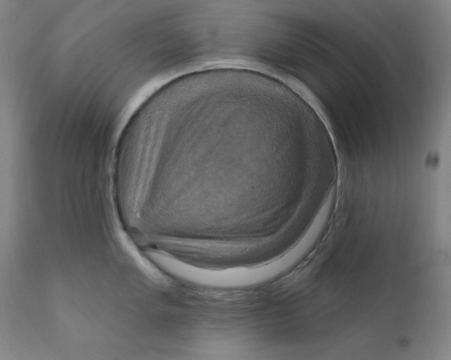 X0000112201005200909041313