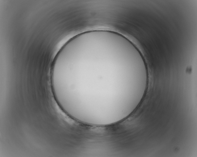 X0000112201006200909041313