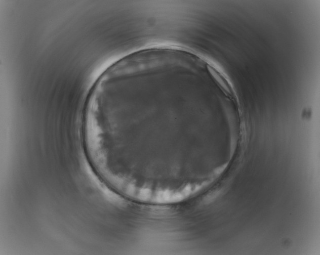 X0000112201007200909041313