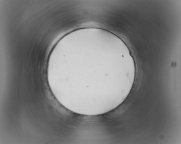 X0000112201008200909041313