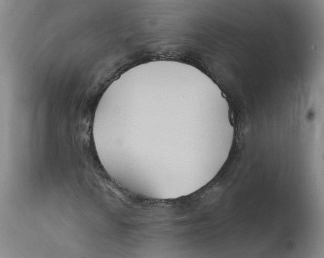 X0000112201010200909041312