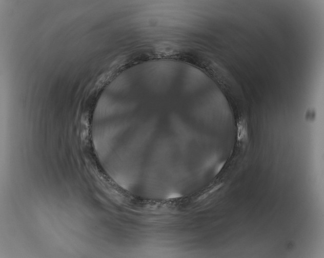 X0000112201011200909041312
