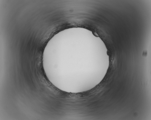 X0000112201012200909041312