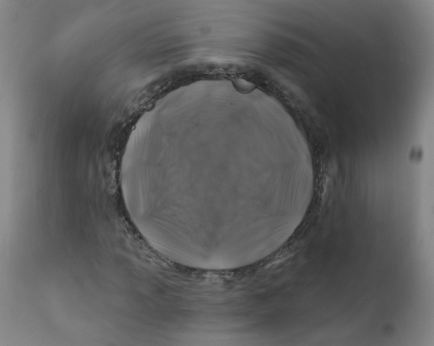 X0000112201013200909041312