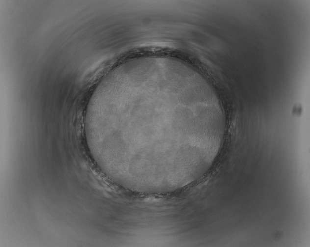 X0000112201014200909041312