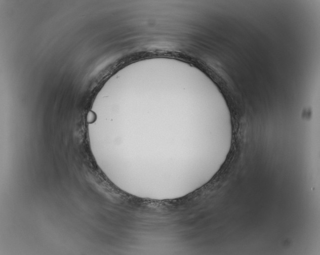 X0000112201015200909041312