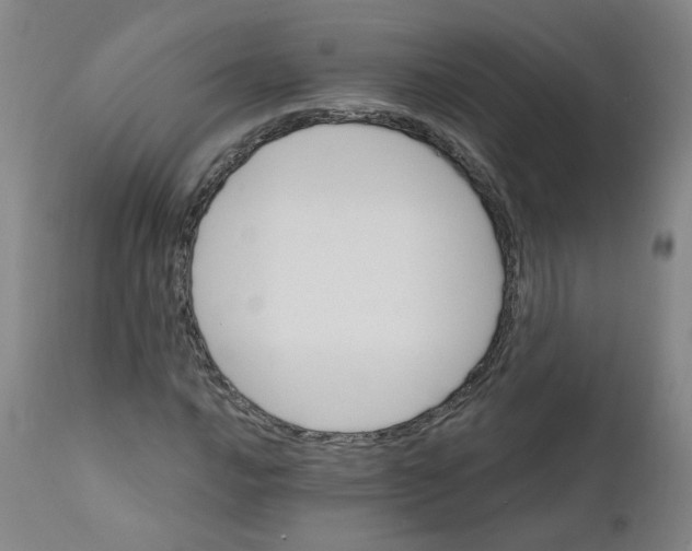 X0000112201016200909041312