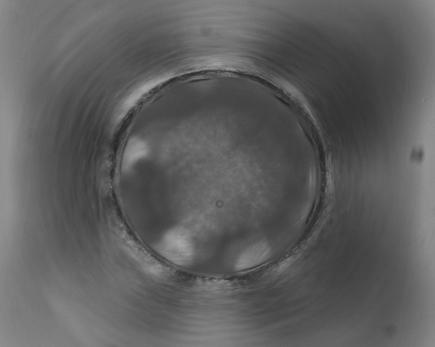 X0000112201019200909041312