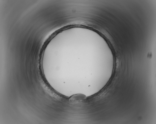 X0000112201020200909041312