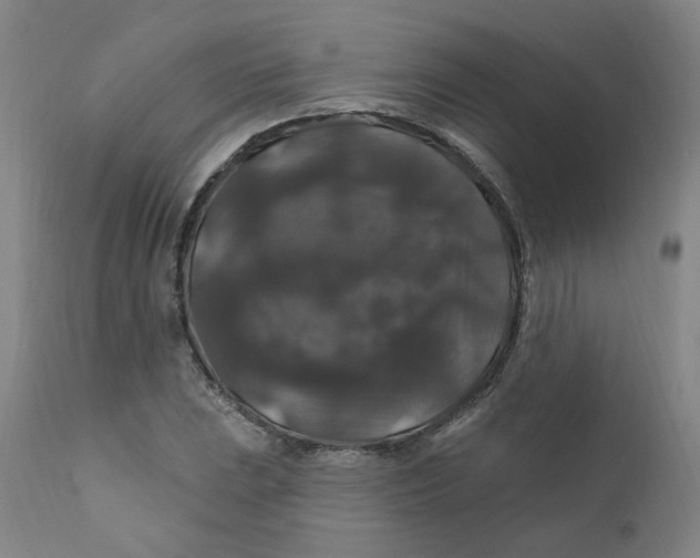 X0000112201023200909041312