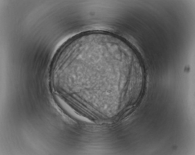 X0000112201024200909041312