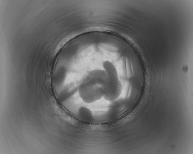 X0000112201025200909041312