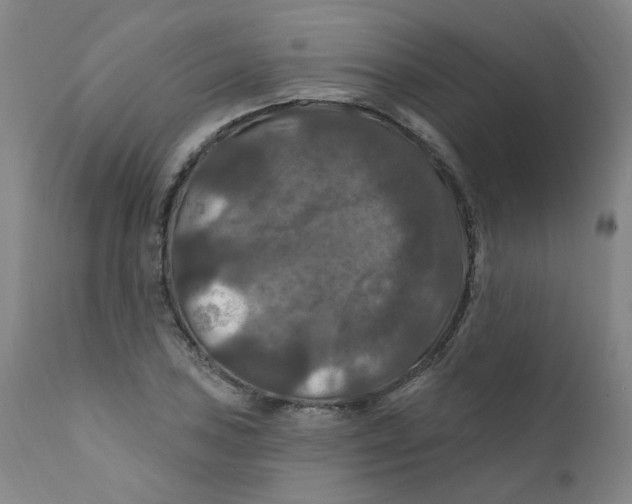 X0000112201027200909041312