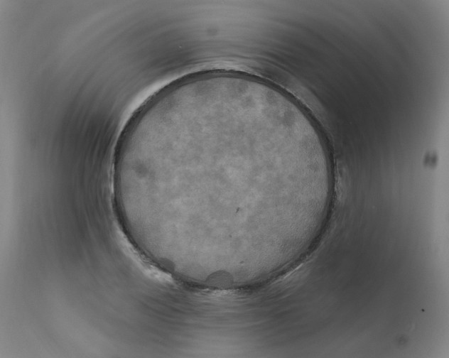 X0000112201028200909041312
