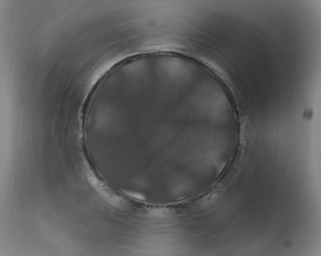 X0000112201031200909041312