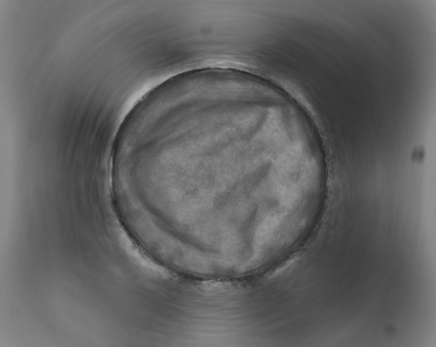 X0000112201032200909041312