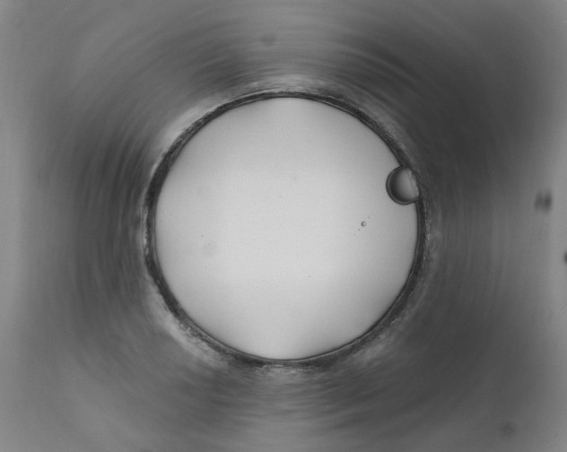 X0000112201034200909041312