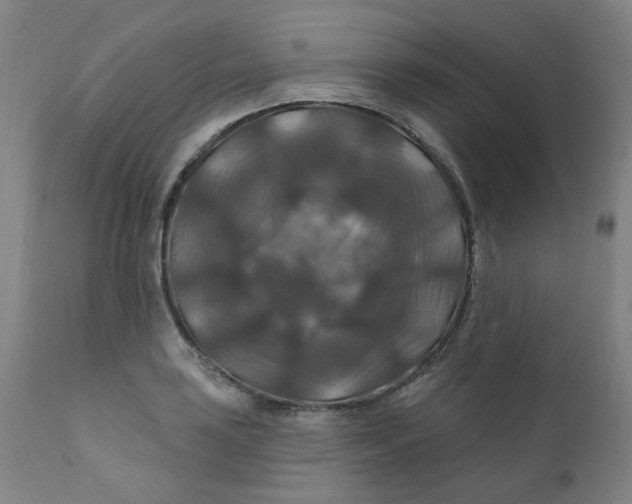 X0000112201035200909041312