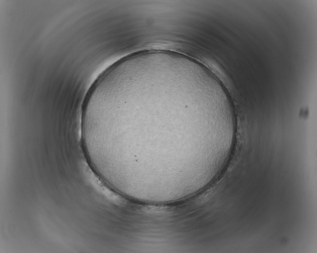 X0000112201036200909041312