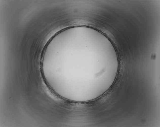 X0000112201039200909041312