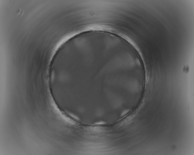 X0000112201045200909041312