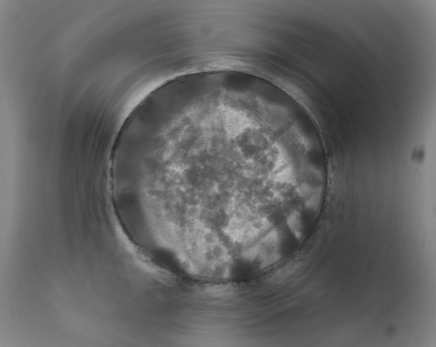 X0000112201047200909041312